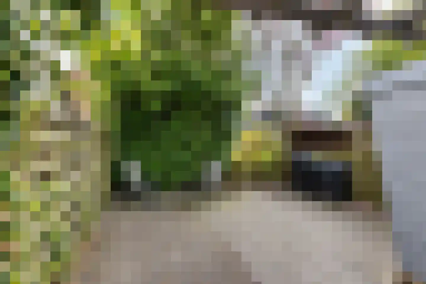 Sichte 3 Ureterp thumbnail 32