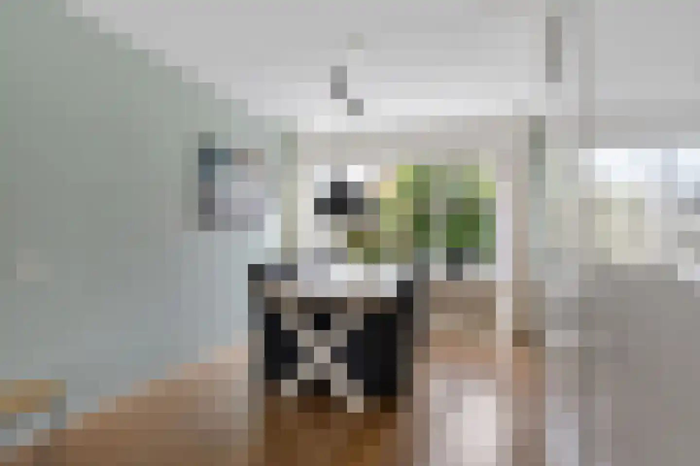 Sichte 3 Ureterp thumbnail 4