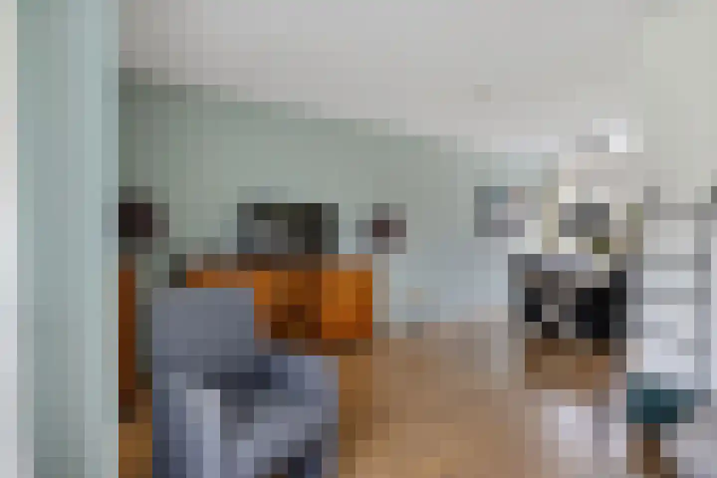 Sichte 3 Ureterp thumbnail 9