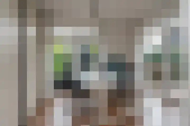 Sichtermanlaan 14 Wildervank thumbnail 10