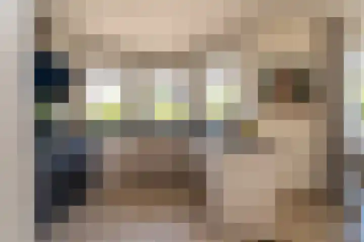 Sichtermanlaan 14 Wildervank thumbnail 11