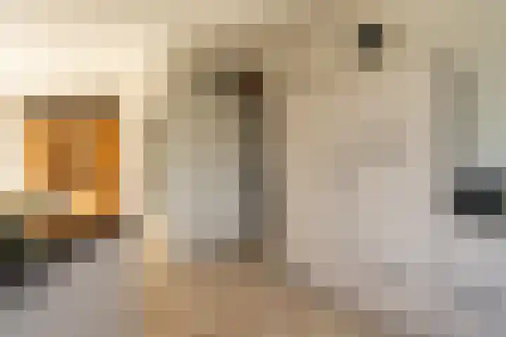 Sichtermanlaan 14 Wildervank thumbnail 12