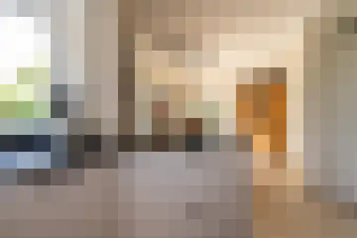 Sichtermanlaan 14 Wildervank thumbnail 13