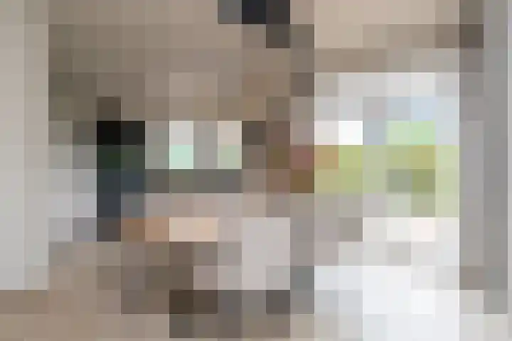 Sichtermanlaan 14 Wildervank thumbnail 14
