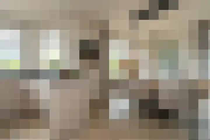 Sichtermanlaan 14 Wildervank thumbnail 15