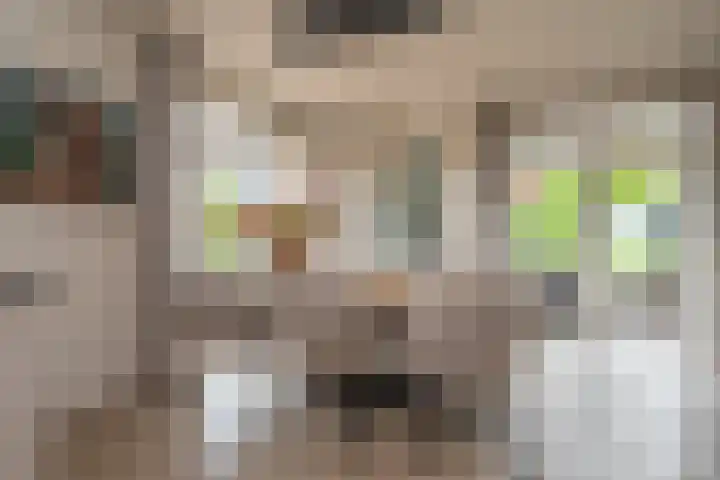 Sichtermanlaan 14 Wildervank thumbnail 17
