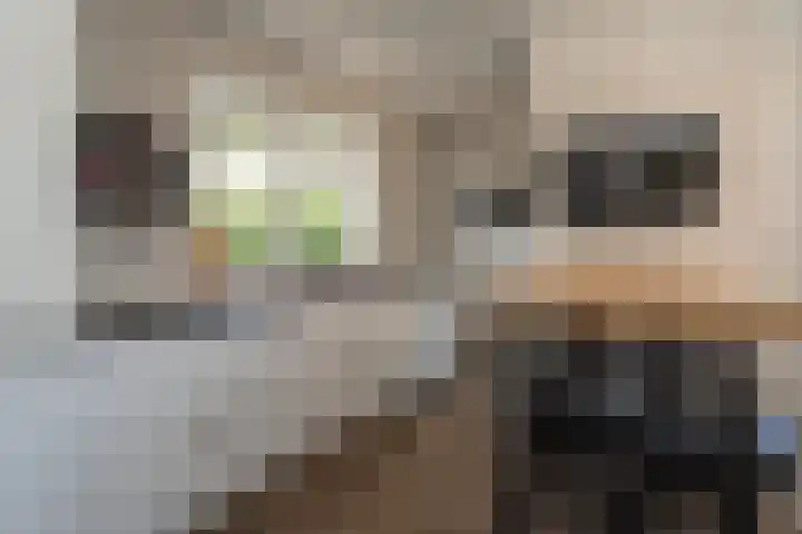 Sichtermanlaan 14 Wildervank thumbnail 18