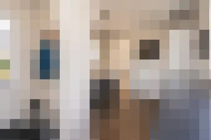 Sichtermanlaan 14 Wildervank thumbnail 20