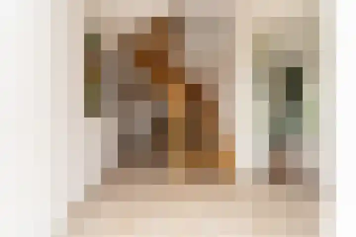 Sichtermanlaan 14 Wildervank thumbnail 22