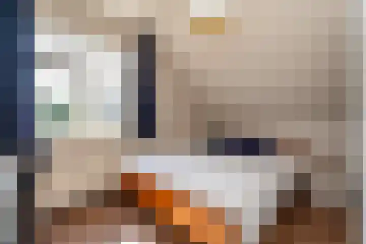 Sichtermanlaan 14 Wildervank thumbnail 27
