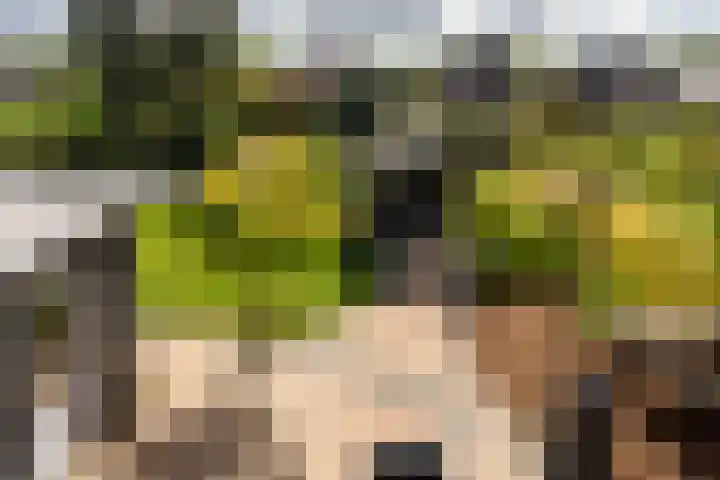 Sichtermanlaan 14 Wildervank thumbnail 30
