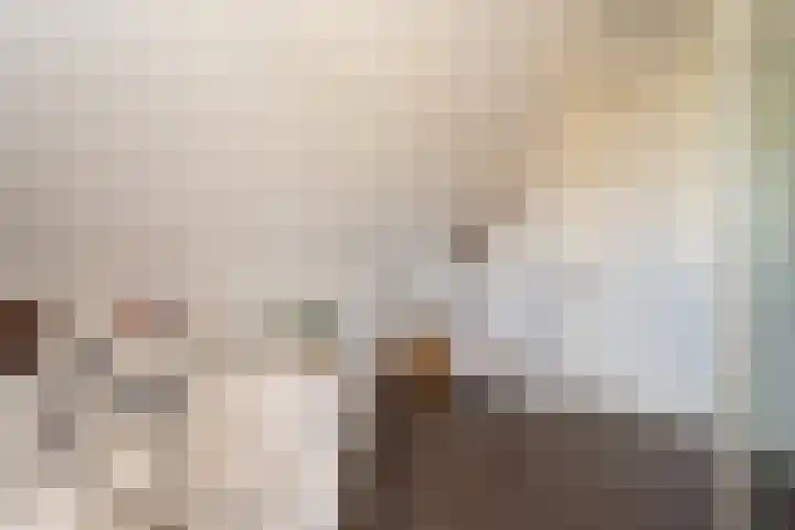 Sichtermanlaan 14 Wildervank thumbnail 42
