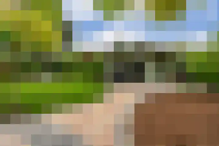 Sichtermanlaan 14 Wildervank thumbnail 43
