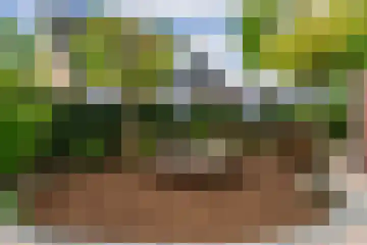 Sichtermanlaan 14 Wildervank thumbnail 44