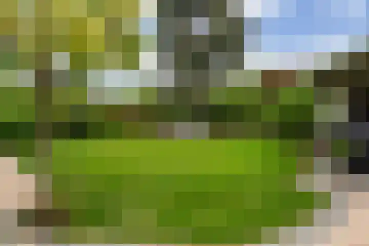 Sichtermanlaan 14 Wildervank thumbnail 45