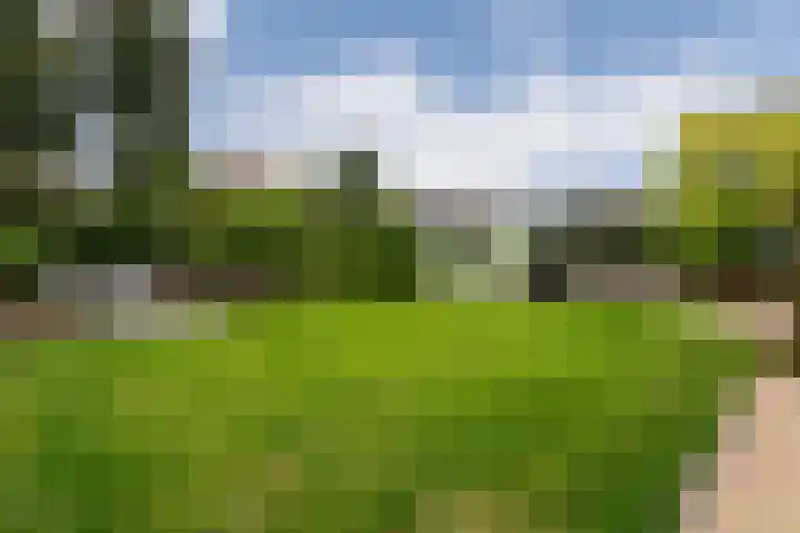 Sichtermanlaan 14 Wildervank thumbnail 47