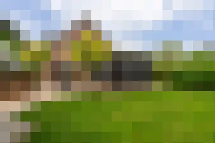 Sichtermanlaan 14 Wildervank thumbnail 48