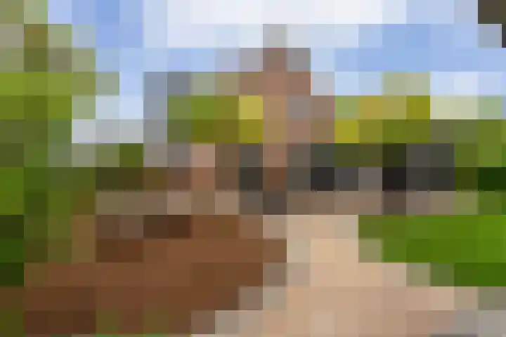Sichtermanlaan 14 Wildervank thumbnail 49