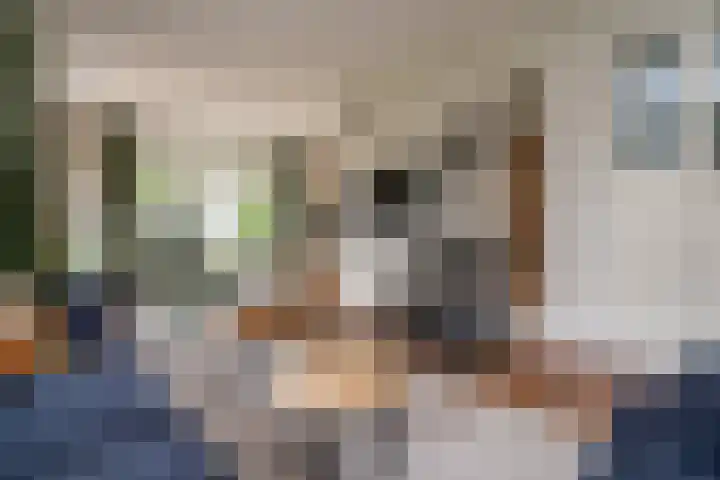 Sichtermanlaan 14 Wildervank thumbnail 5