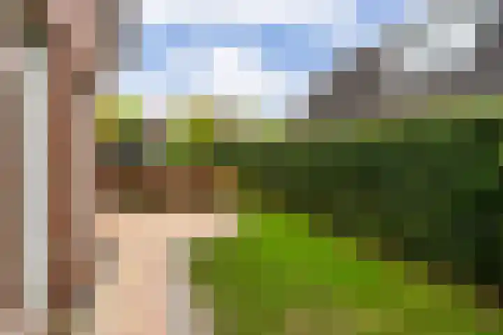 Sichtermanlaan 14 Wildervank thumbnail 51