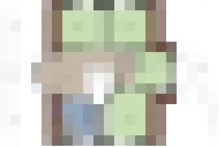 Sichtermanlaan 14 Wildervank thumbnail 55