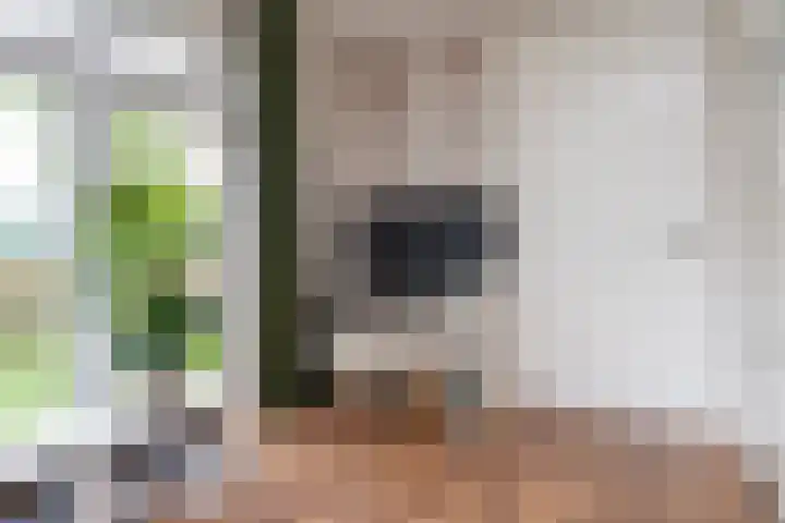 Sichtermanlaan 14 Wildervank thumbnail 8