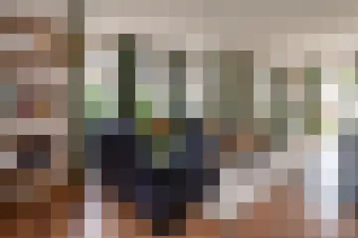 Sichtermanlaan 14 Wildervank thumbnail 9