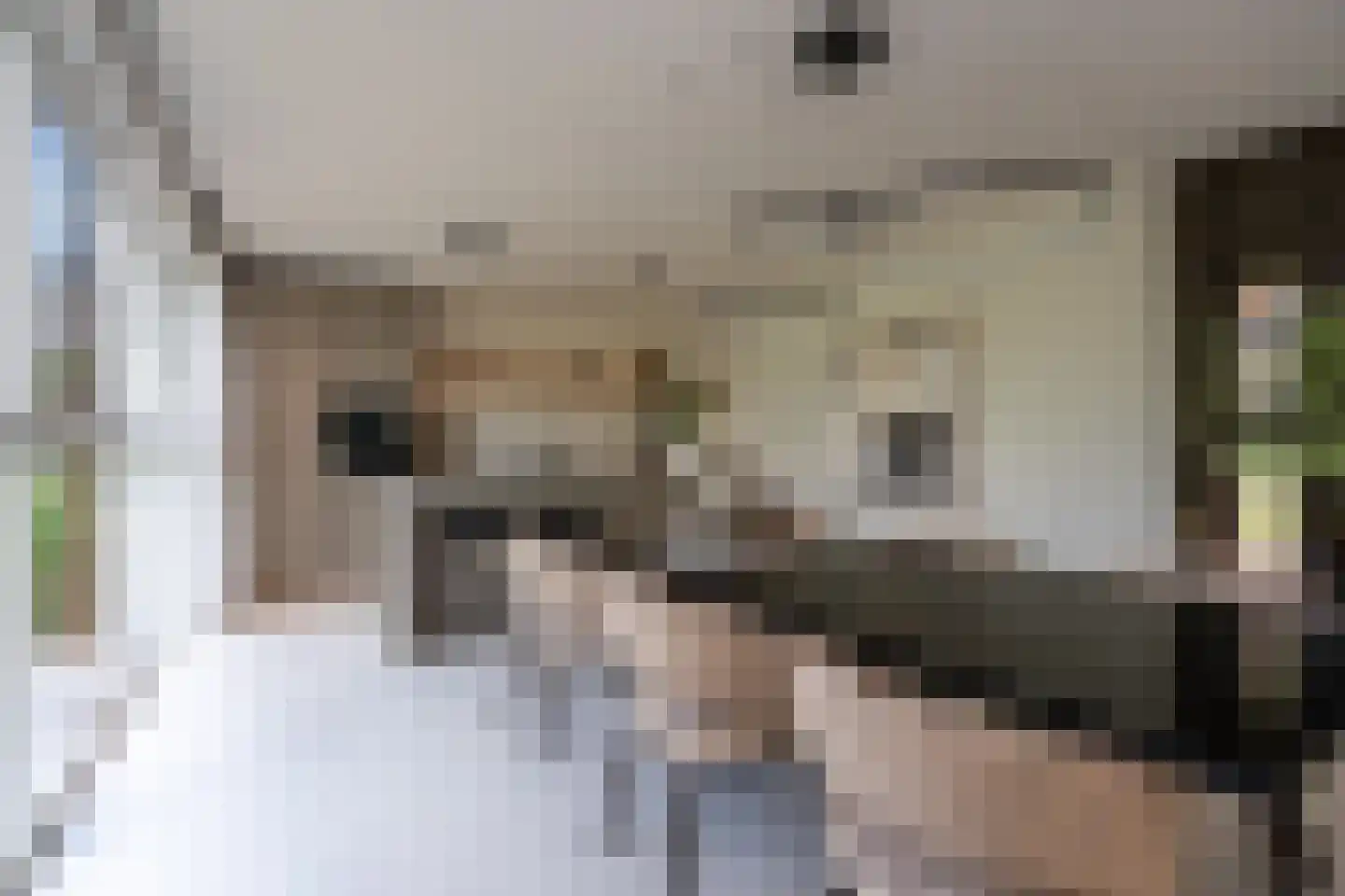 Sichtermanlaan 3 Wildervank thumbnail 10