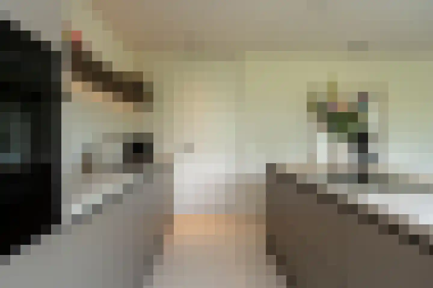 Sichtermanlaan 3 Wildervank thumbnail 12