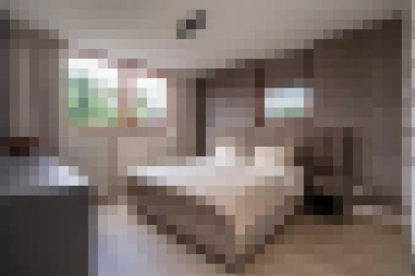 Sichtermanlaan 3 Wildervank thumbnail 20