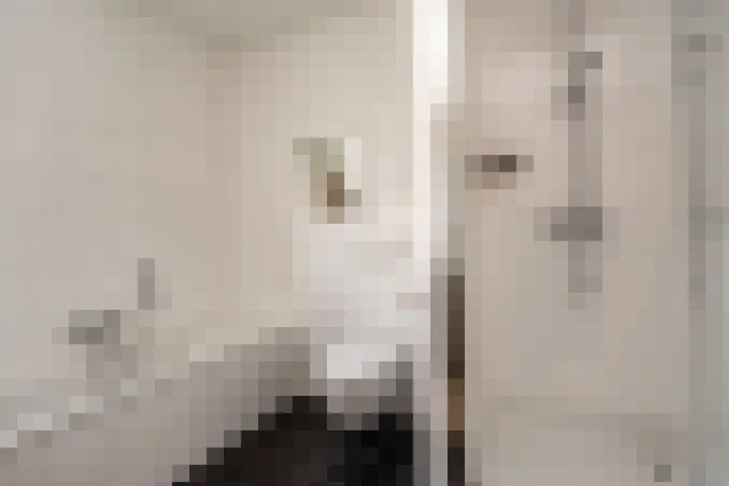 Sichtermanlaan 3 Wildervank thumbnail 31