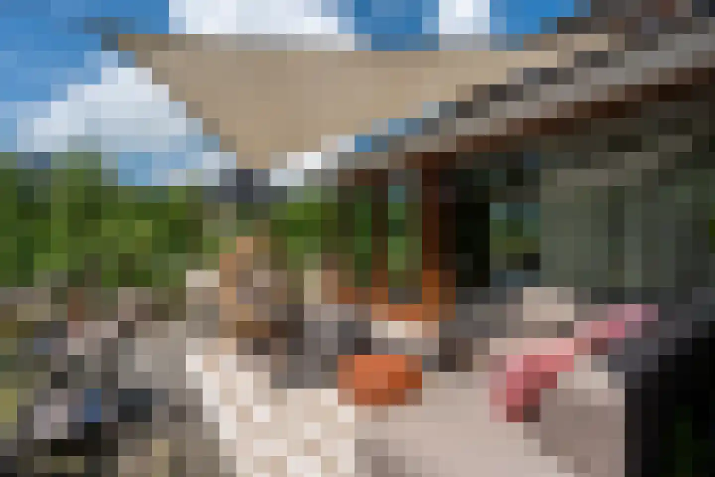 Sichtermanlaan 3 Wildervank thumbnail 32
