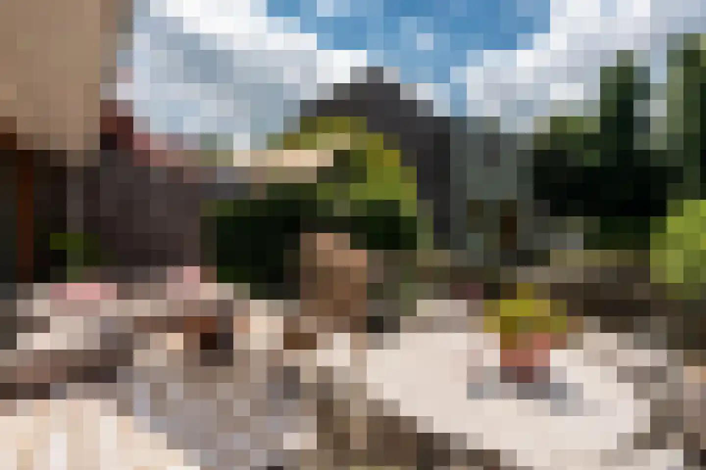 Sichtermanlaan 3 Wildervank thumbnail 33