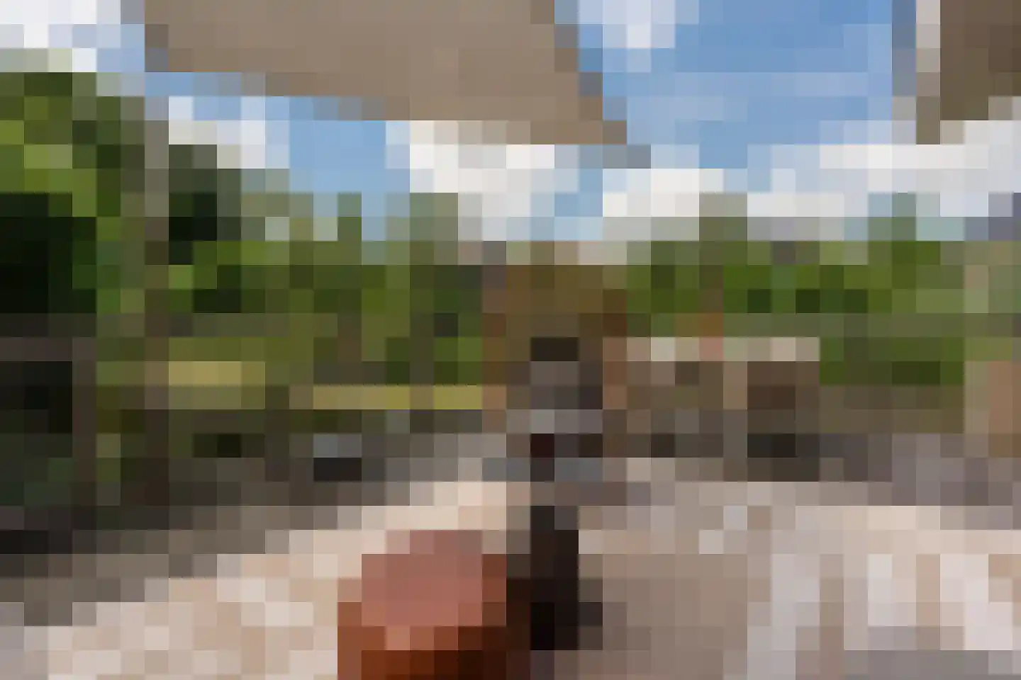 Sichtermanlaan 3 Wildervank thumbnail 34