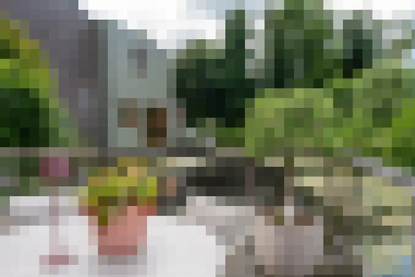 Sichtermanlaan 3 Wildervank thumbnail 35