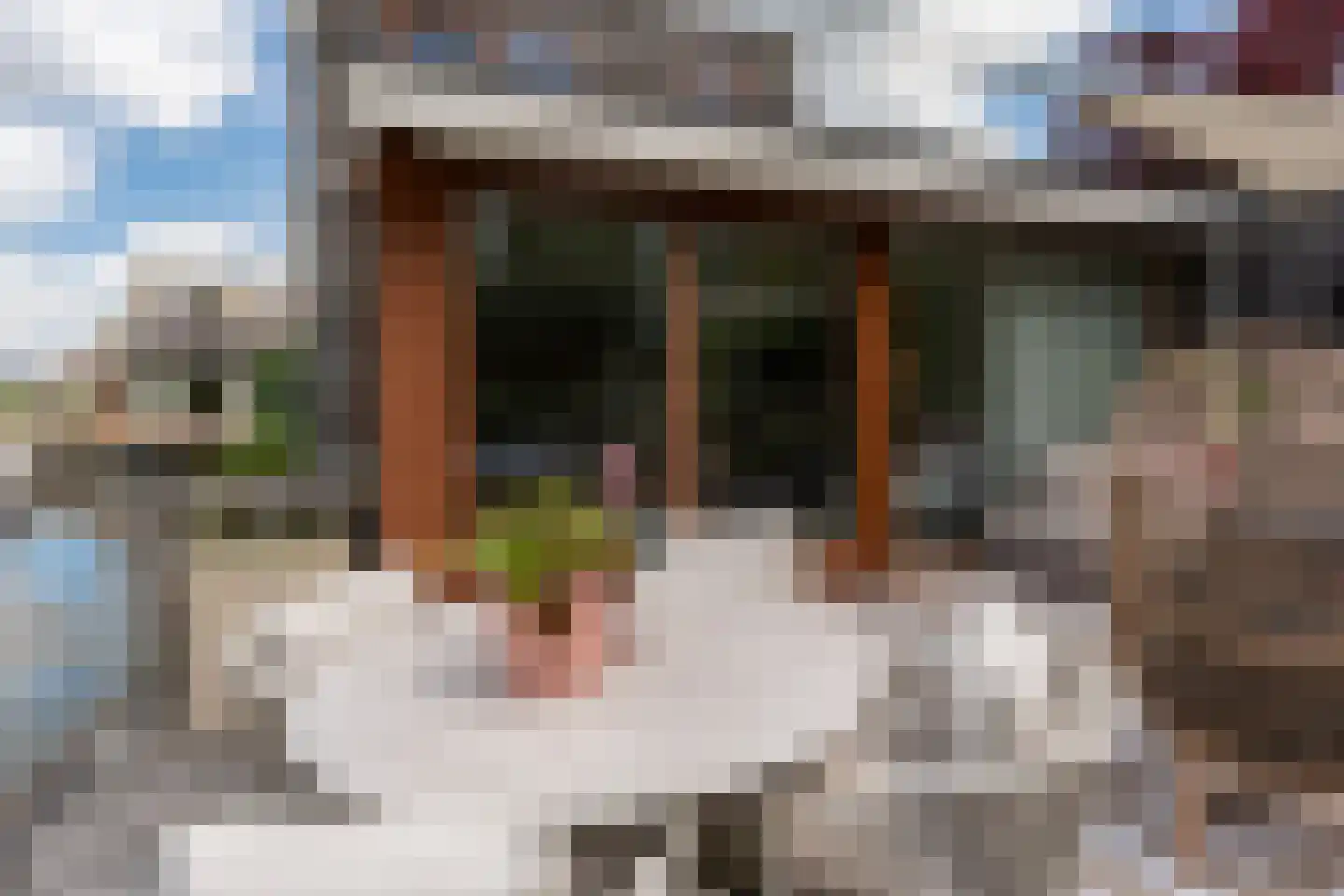 Sichtermanlaan 3 Wildervank thumbnail 36