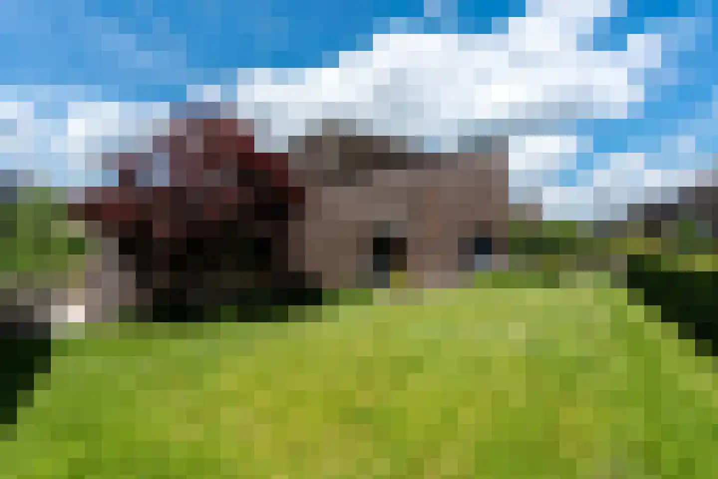 Sichtermanlaan 3 Wildervank thumbnail 38