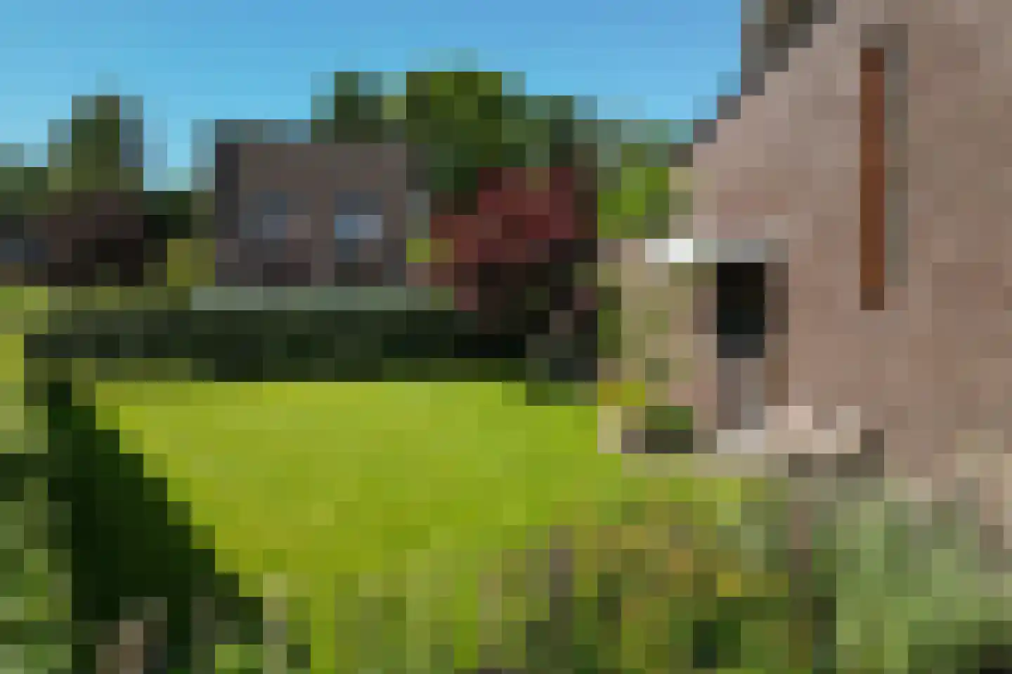 Sichtermanlaan 3 Wildervank thumbnail 39