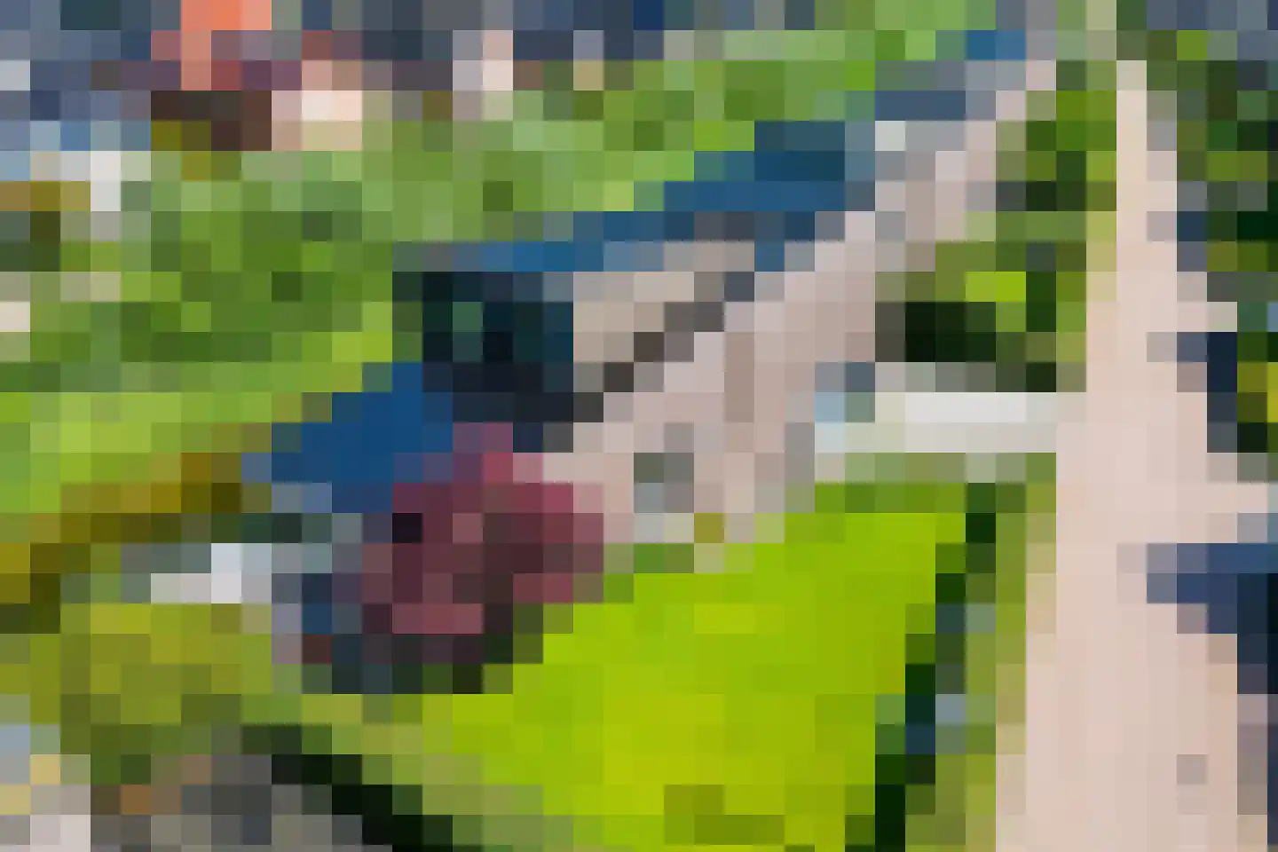 Sichtermanlaan 3 Wildervank thumbnail 4