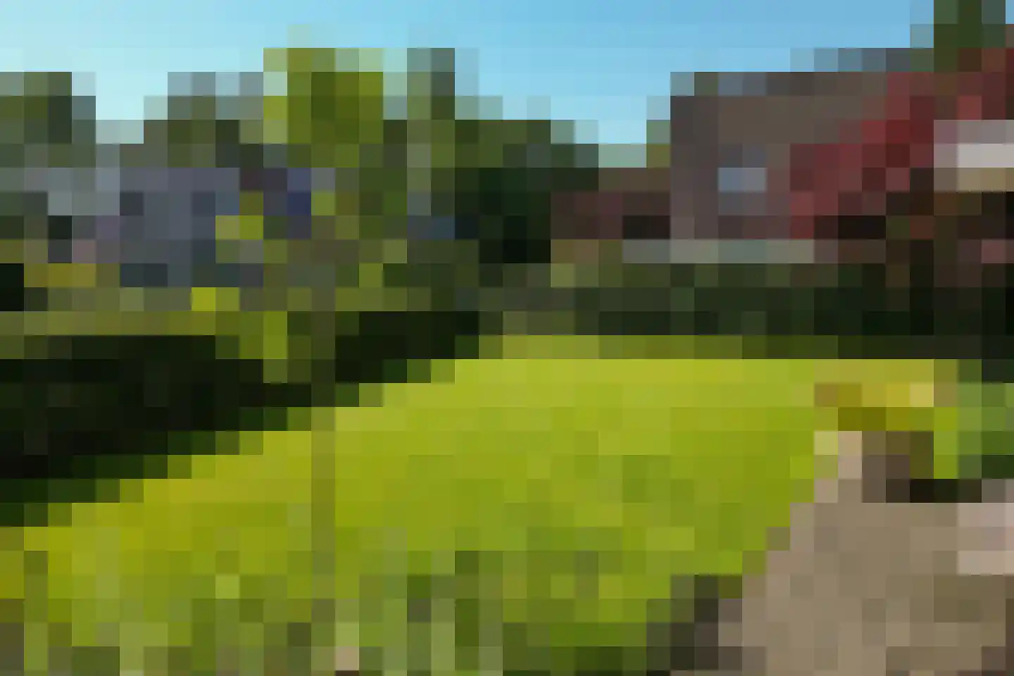 Sichtermanlaan 3 Wildervank thumbnail 40
