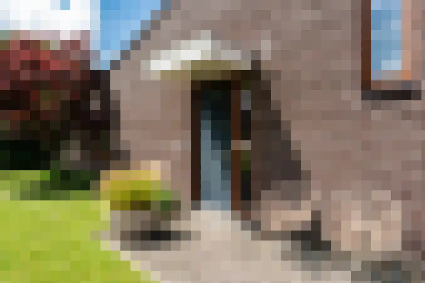 Sichtermanlaan 3 Wildervank thumbnail 41