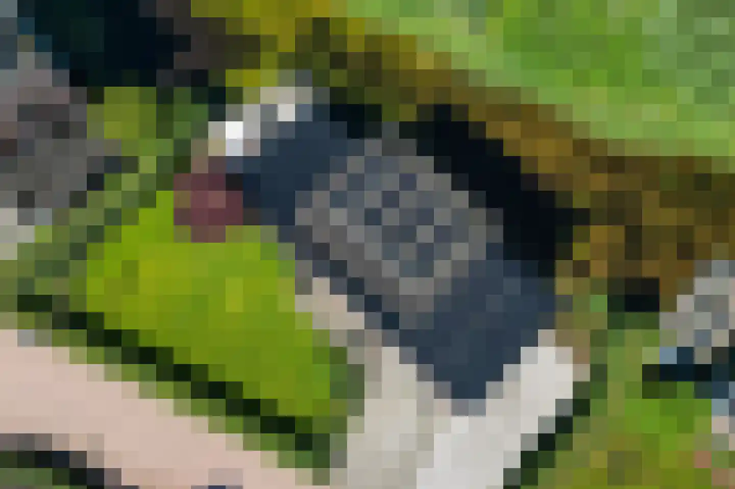 Sichtermanlaan 3 Wildervank thumbnail 43