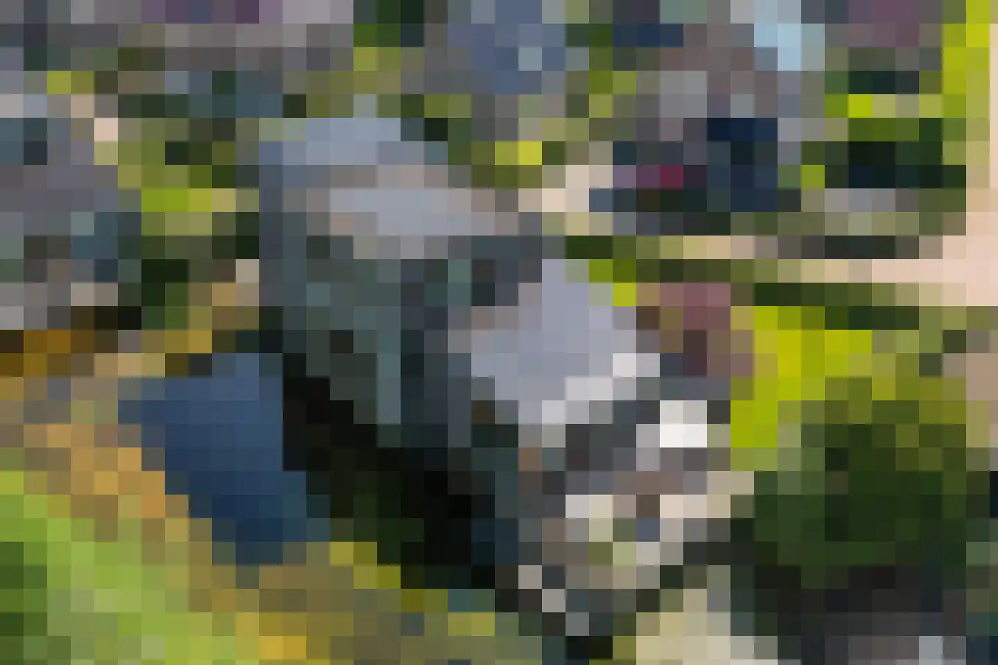 Sichtermanlaan 3 Wildervank thumbnail 44