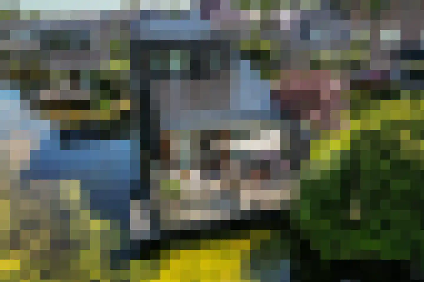 Sichtermanlaan 3 Wildervank thumbnail 45