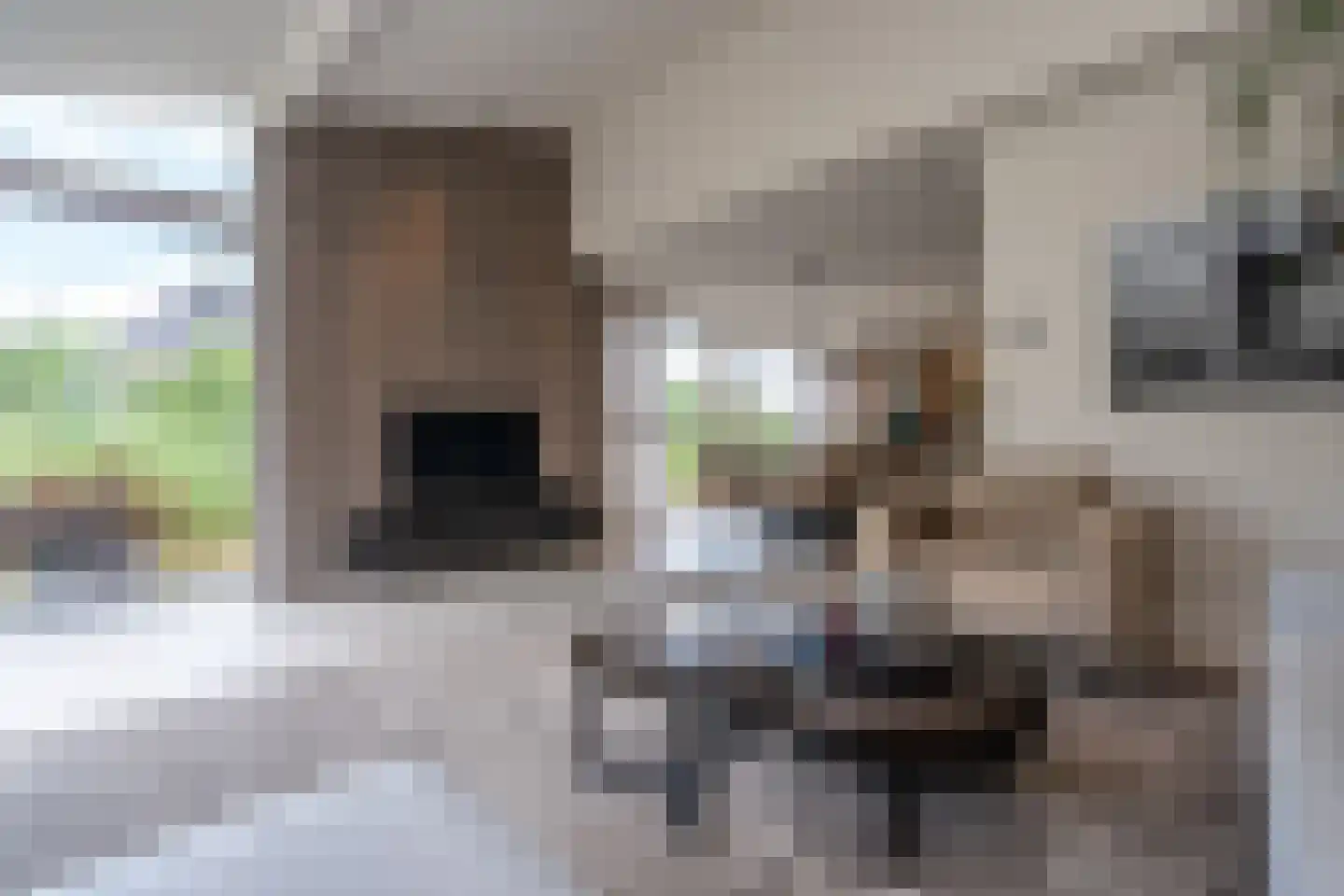 Sichtermanlaan 3 Wildervank thumbnail 7