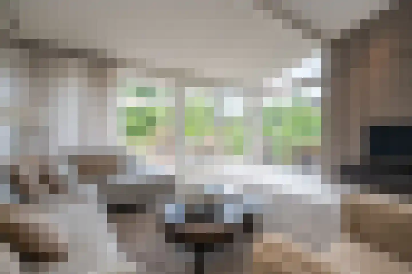 Sichtermanlaan 3 Wildervank thumbnail 8