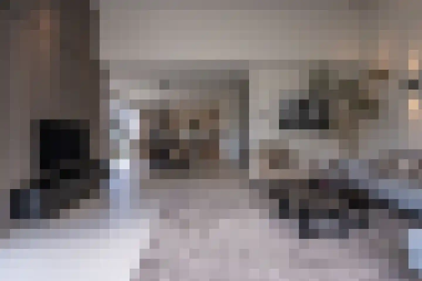Sichtermanlaan 3 Wildervank thumbnail 9