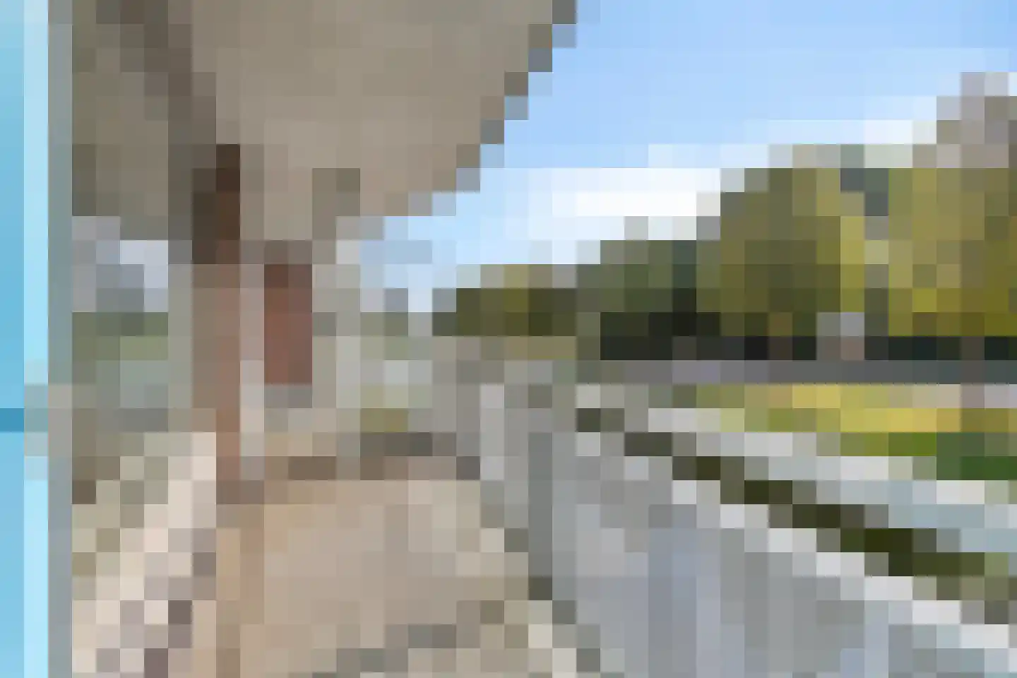 Sichtermanmarke 106 Zwolle thumbnail 16