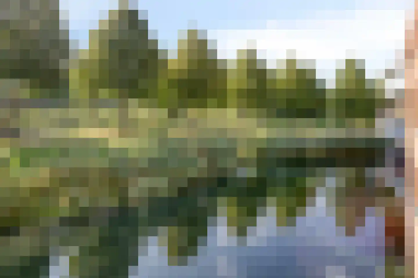 Sichtermanmarke 106 Zwolle thumbnail 31