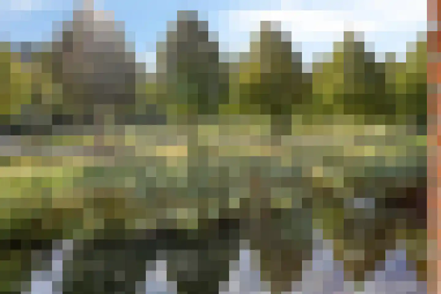 Sichtermanmarke 106 Zwolle thumbnail 33